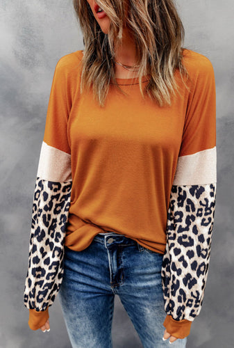 Brown Leopard Long Sleeve Top